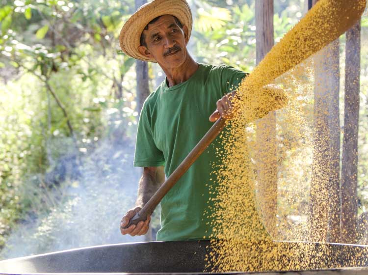 Brazil Emerges as a Potential Power Player Poised for Growth