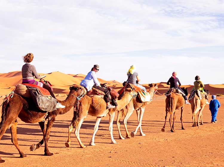 Embark on an Adventure of the Ancient Past in the Draa Valley