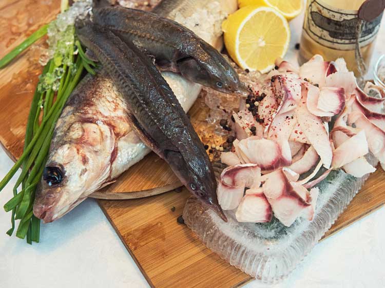 Tantalize the Taste Buds With Siberia’s Diverse Delicacies