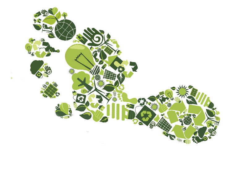 Embedding Sustainability for Economic Success and Innovation