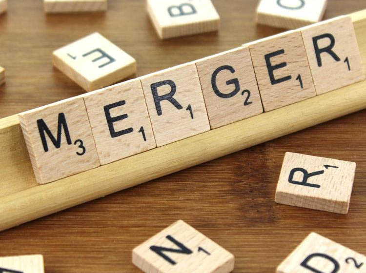 Survey shows Canadian Executives are pressing pause on M&A