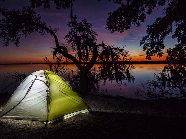Discover the Beauty and History of America’s Remote Cumberland Island