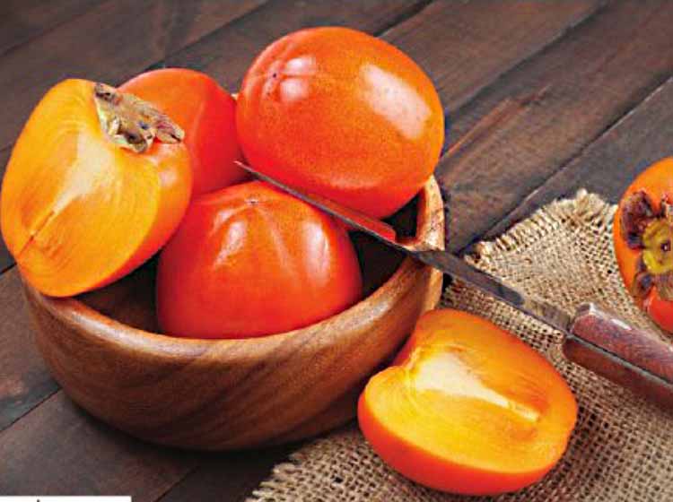 Travel With Your Tastebuds Through the World of Fruit