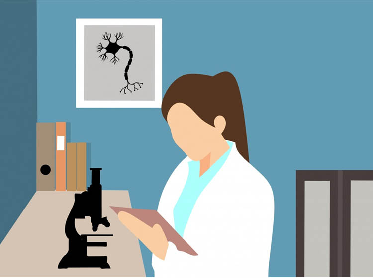 Sets groundwork for improved access to STEM
