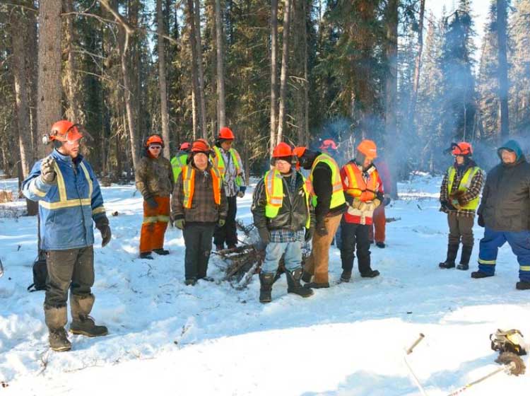 Canada Invests in Indigenous Participation in the Forest Sector